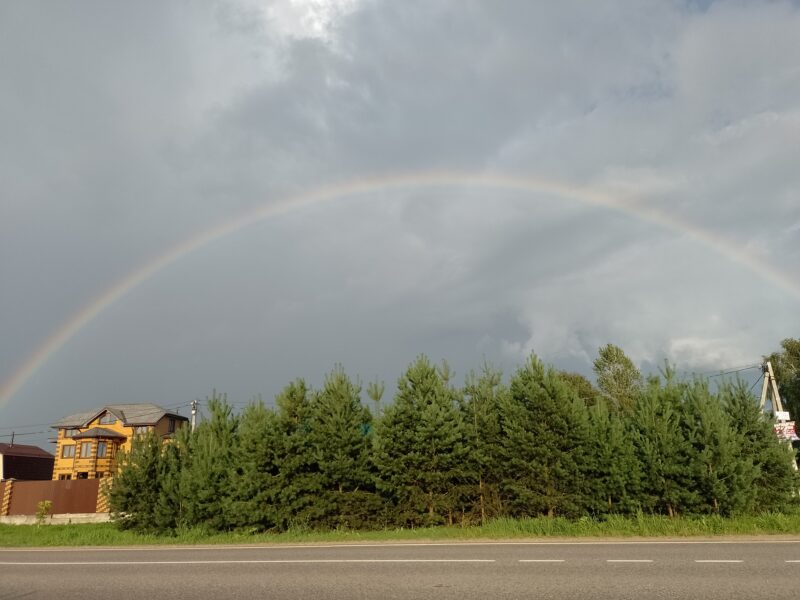 Автодорога (лыжероллеры) Н Горбово — Лызлово, состояние на 6 августа 2025 по отзыву, фото 2. 